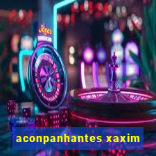 aconpanhantes xaxim